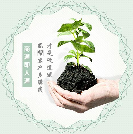 蔬菜種子經營，商道即人道